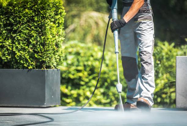 Best Gutter Cleaning and Brightening in Sam Rayburn, TX