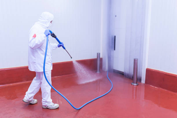 Best Graffiti Removal Services in Sam Rayburn, TX